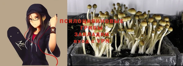 мескалин Вязьма
